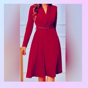New-Pleated Hem Belted Dress, Shawl Collar Long Sleeve. Office work or night out